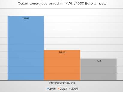 Bild 5: Darstellung des Energieeinsatzes in Relation zum Jahresumsatz (KWh Diesel/€) aus dem Energiebericht des aktuellen Audits nach EN-16247-1 